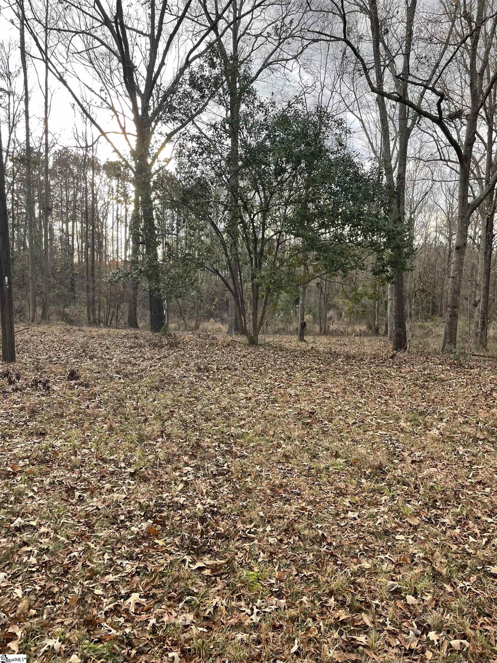 0 Blue Willow Circle Honea Path, SC 29654 - Photo 9 of 9