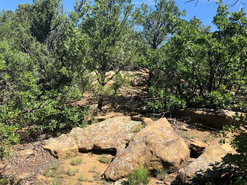 Lot 30 Silver Spur Road Walsenburg, CO 81089 - Photo 10 of 36 Gallery Image 10