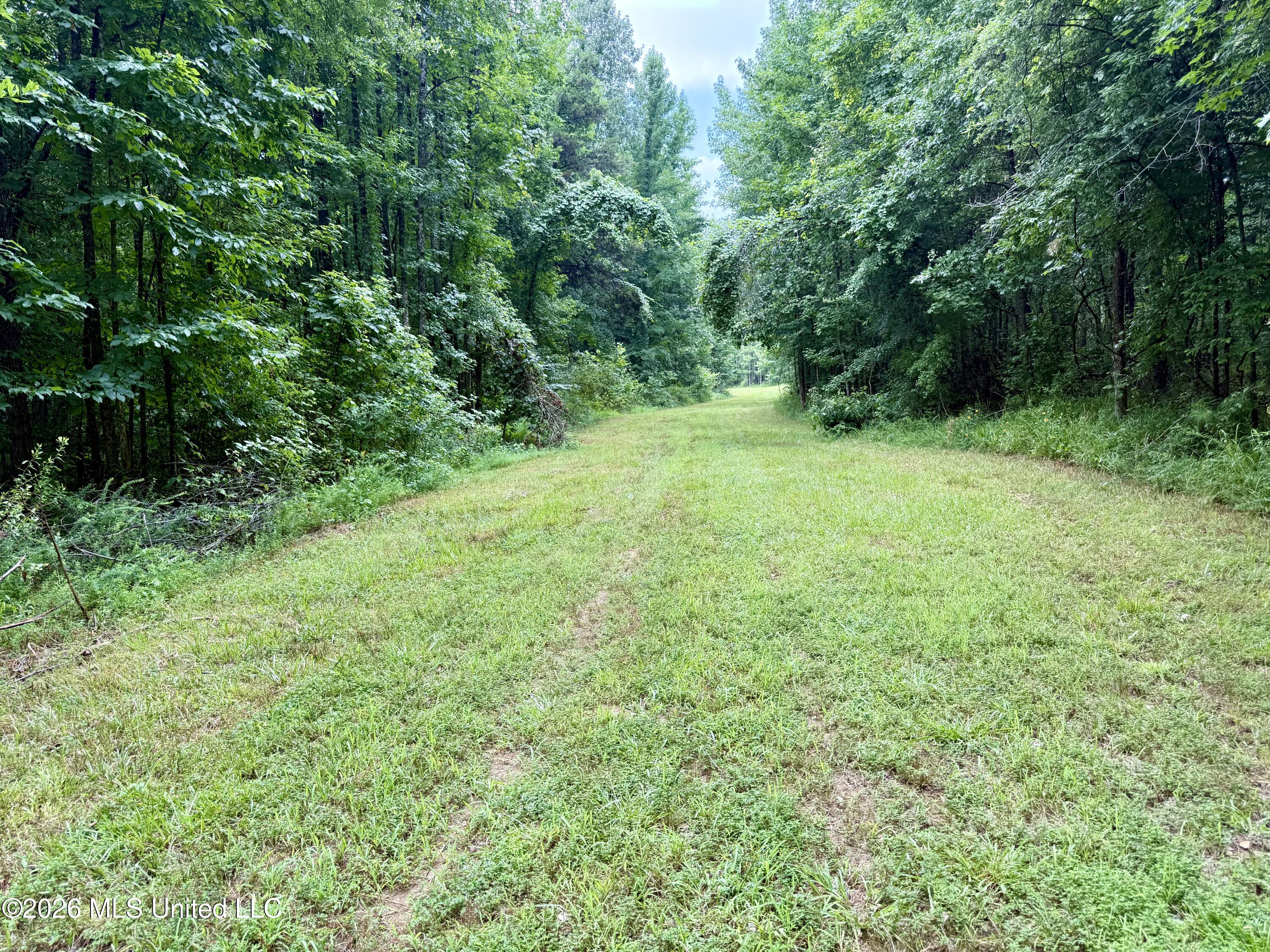 568 Smith-Bailey Road Durant, MS 39063 - Photo 38 of 81 Photo Jul 02 2026, 2 37 57 PM