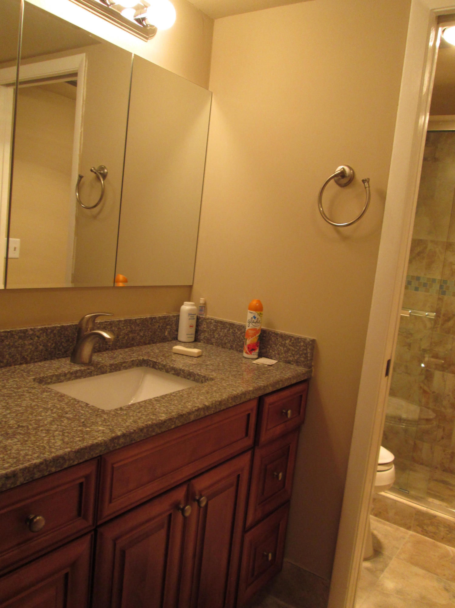 1029 Wolverton East, Unit 1029 Boca Raton, FL 33434 - Photo 8 of 9 bathroom with granite counter