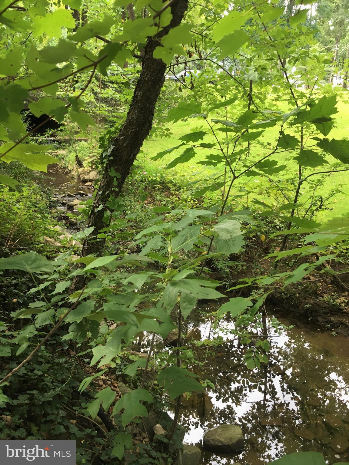 226 Sandee Road Lutherville-Timonium, MD 21093 - Photo 20 of 23 Stream running through back yard