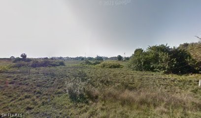 462 Rand Street Lehigh Acres, FL 33974 - Photo 1 of 1 a view of a mountain range with a forest