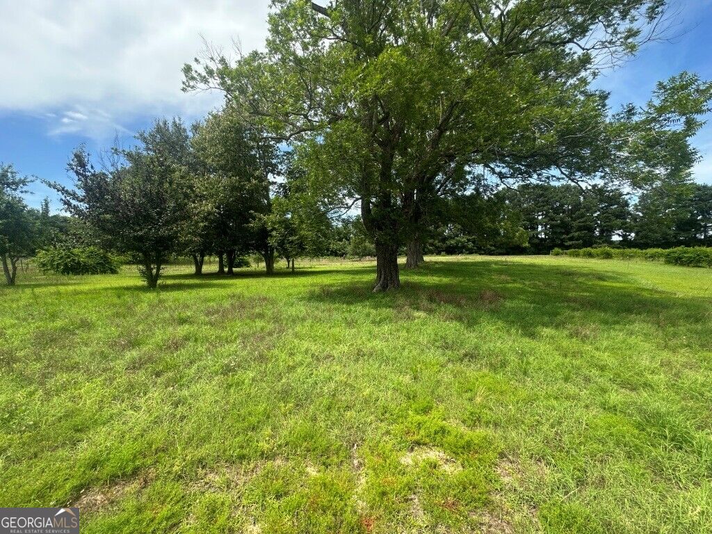 1808 State Rd S-38-674 Norway, SC 29113 - Photo 38 of 45 Gallery Image 38
