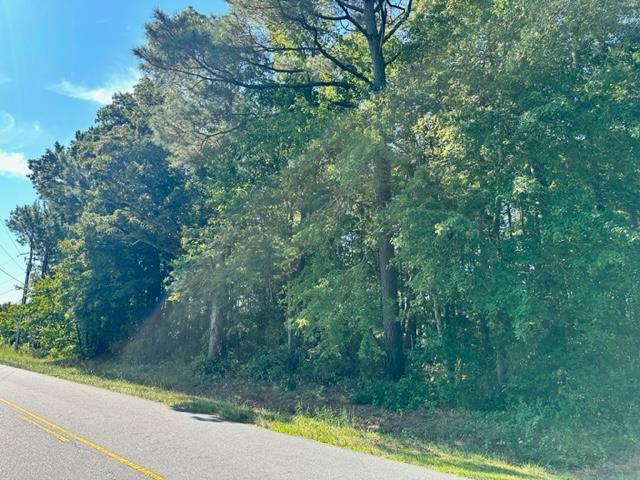 Lot Nocks Nocks Landing Road Atlantic, VA 23303 - Photo 2 of 4