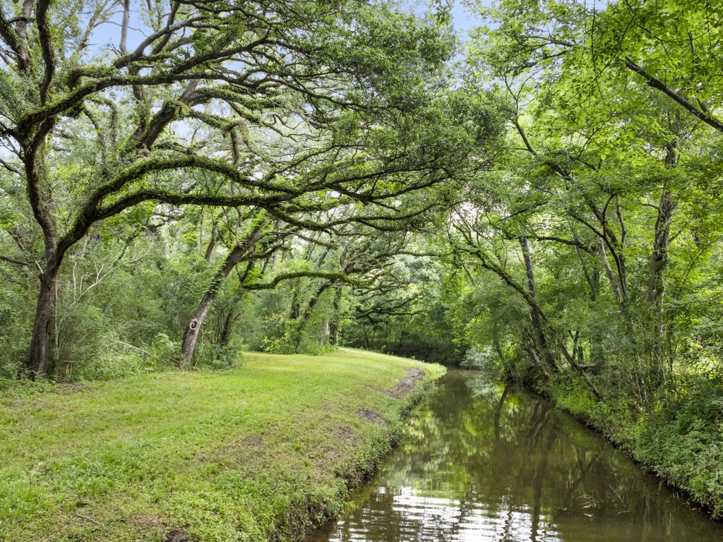 5714 Masters Manvel, TX 77578 - Photo 11 of 43 a view of yard with green space