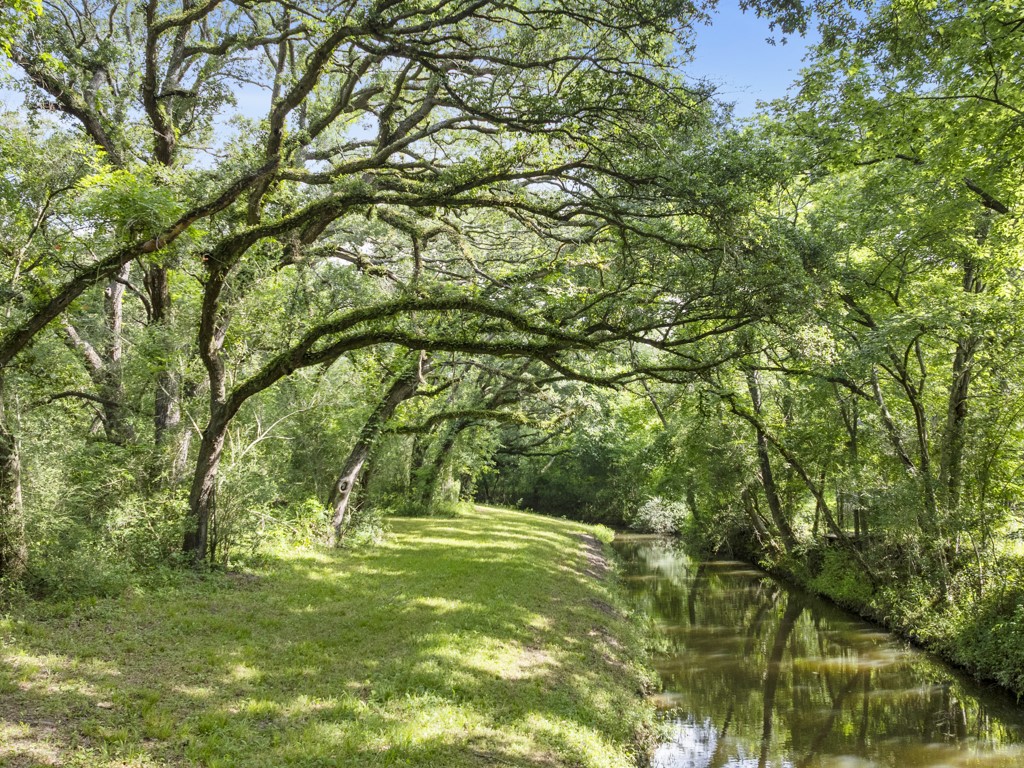 5714 Masters Manvel, TX 77578 - Photo 12 of 43 a view of yard with green space