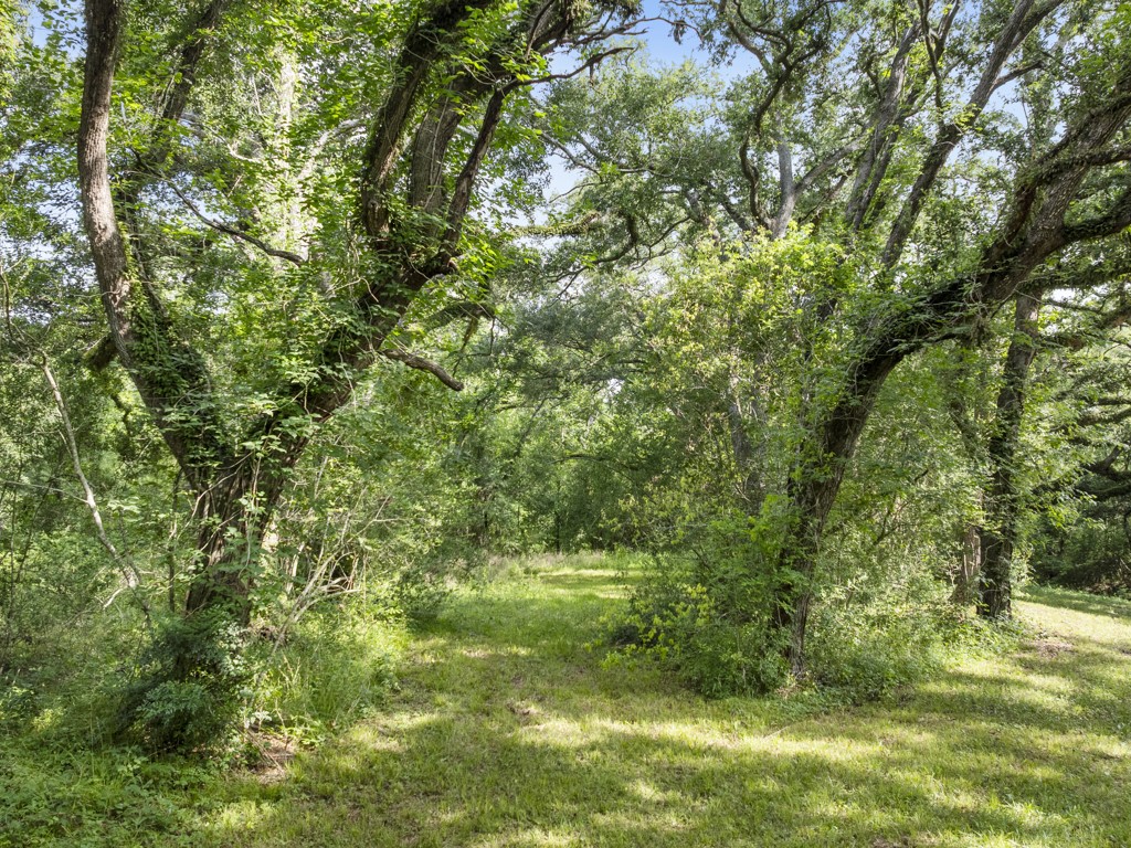 5714 Masters Manvel, TX 77578 - Photo 13 of 43 a view of a yard with plants and large trees