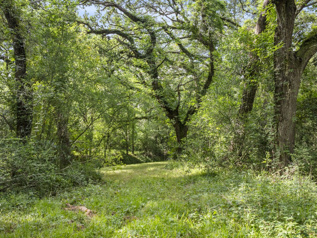 5714 Masters Manvel, TX 77578 - Photo 14 of 43 a view of outdoor space and yard