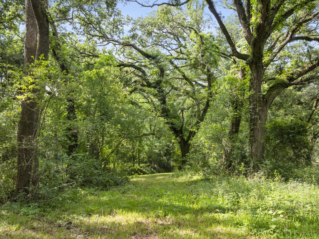 5714 Masters Manvel, TX 77578 - Photo 15 of 43 a view of a lush green space