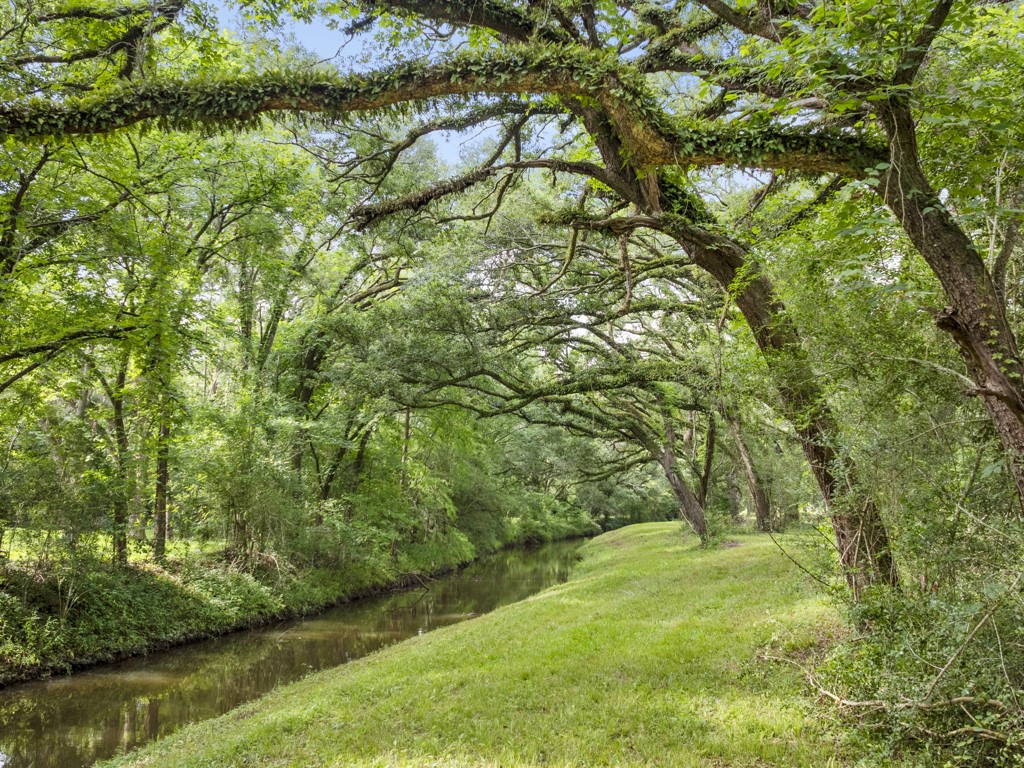 5714 Masters Manvel, TX 77578 - Photo 16 of 43 a view of yard with green space