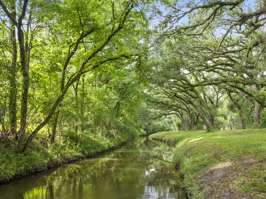 5714 Masters Manvel, TX 77578 - Photo 17 of 43 a view of a garden