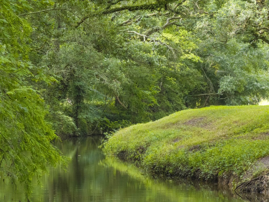 5714 Masters Manvel, TX 77578 - Photo 18 of 43 a view of a garden with a lake