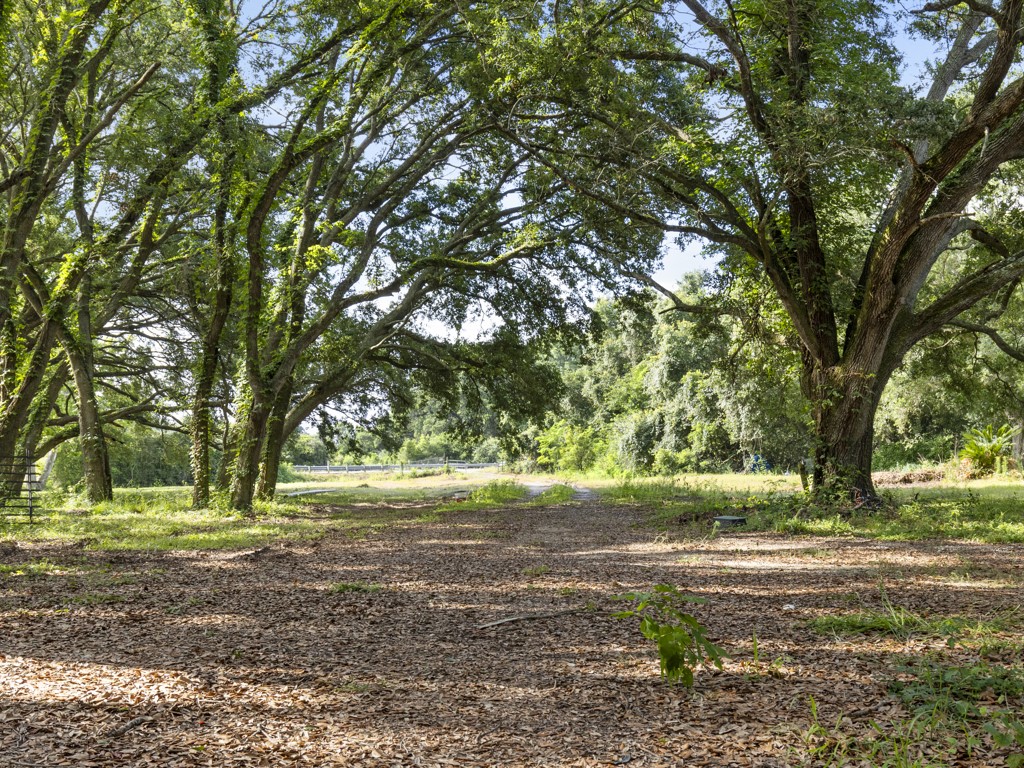 5714 Masters Manvel, TX 77578 - Photo 19 of 43 a view of a yard with large trees