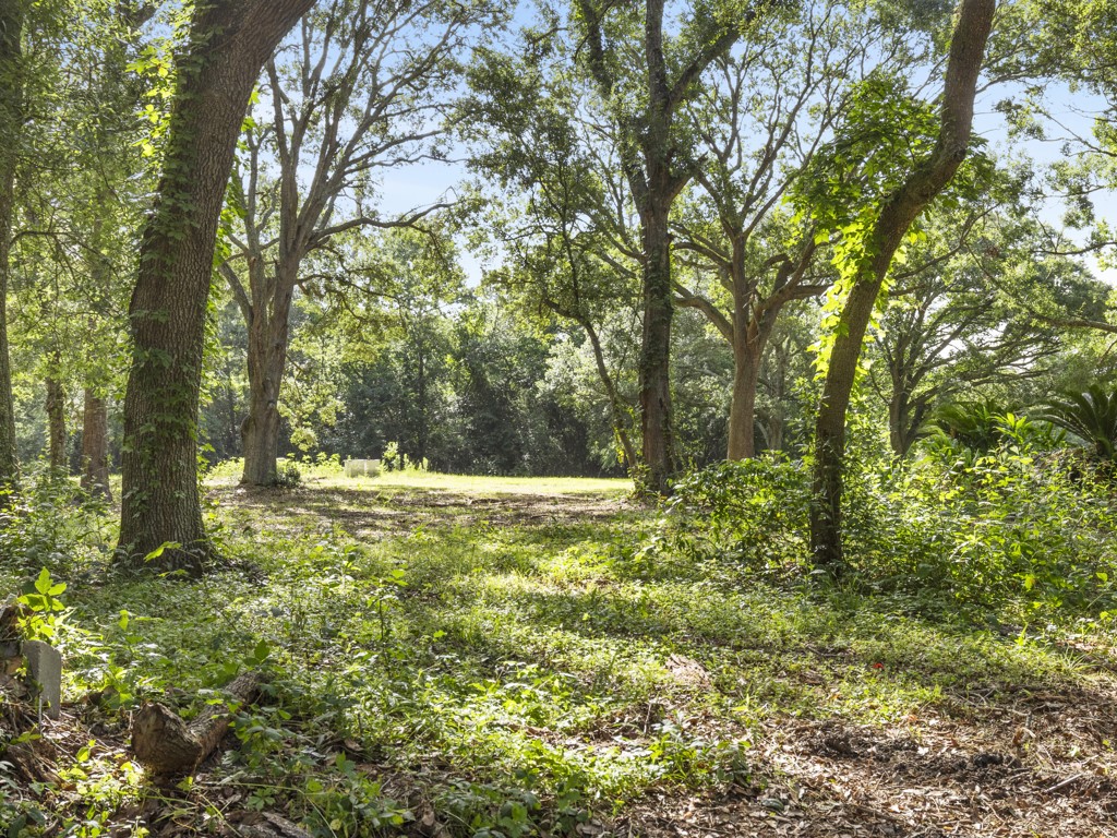 5714 Masters Manvel, TX 77578 - Photo 21 of 43 a view of yard with green space