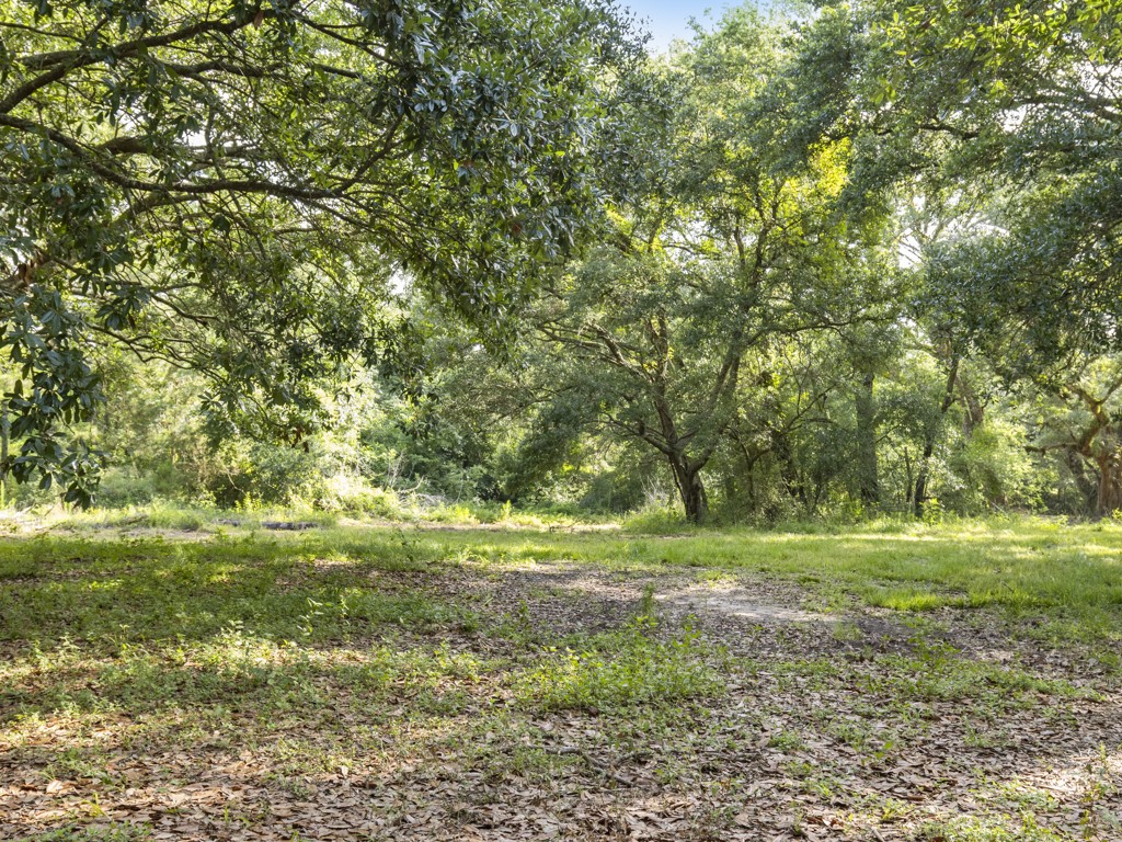5714 Masters Manvel, TX 77578 - Photo 26 of 43 a big yard with lots of green space and deers