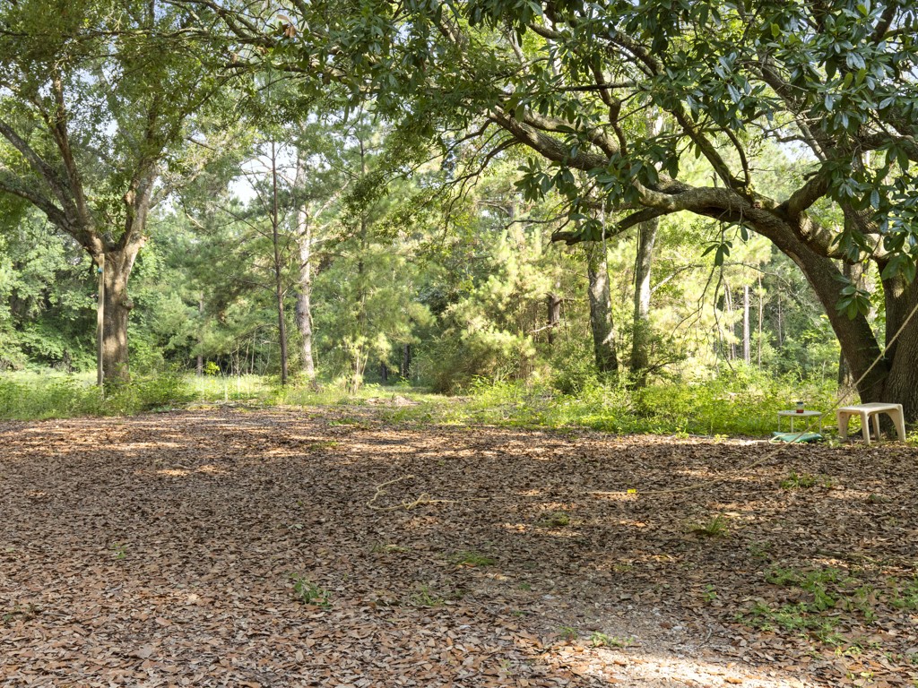 5714 Masters Manvel, TX 77578 - Photo 27 of 43 a view of a yard with plants and trees