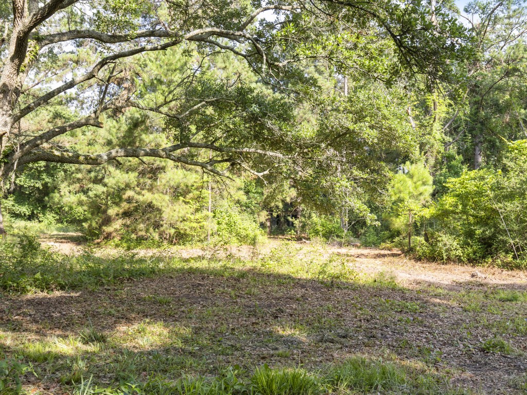 5714 Masters Manvel, TX 77578 - Photo 28 of 43 a view of a yard with a tree