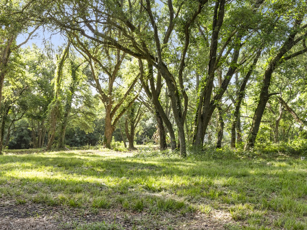 5714 Masters Manvel, TX 77578 - Photo 29 of 43 a view of outdoor space with trees all around