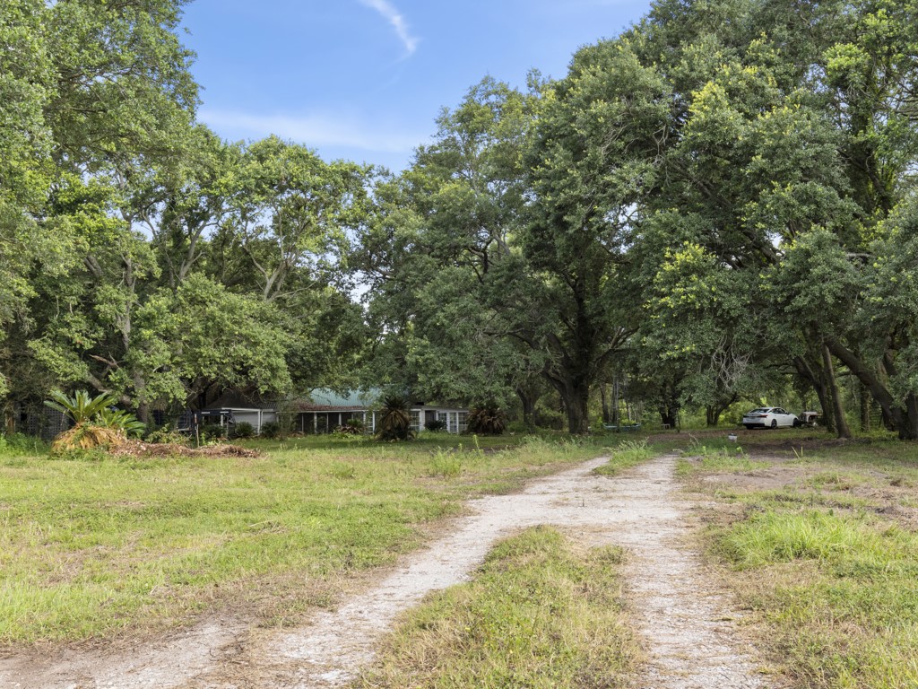 5714 Masters Manvel, TX 77578 - Photo 3 of 43 a view of a trees in a yard