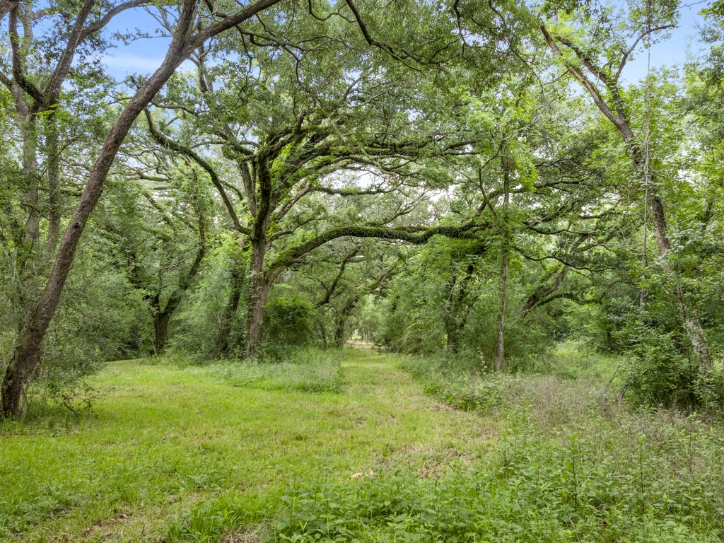 5714 Masters Manvel, TX 77578 - Photo 31 of 43 a view of outdoor space and green field