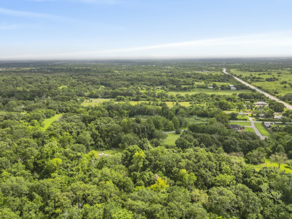 5714 Masters Manvel, TX 77578 - Photo 36 of 43 an aerial view of residential houses with outdoor space and trees