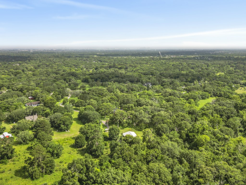 5714 Masters Manvel, TX 77578 - Photo 37 of 43 an aerial view of residential houses with outdoor space