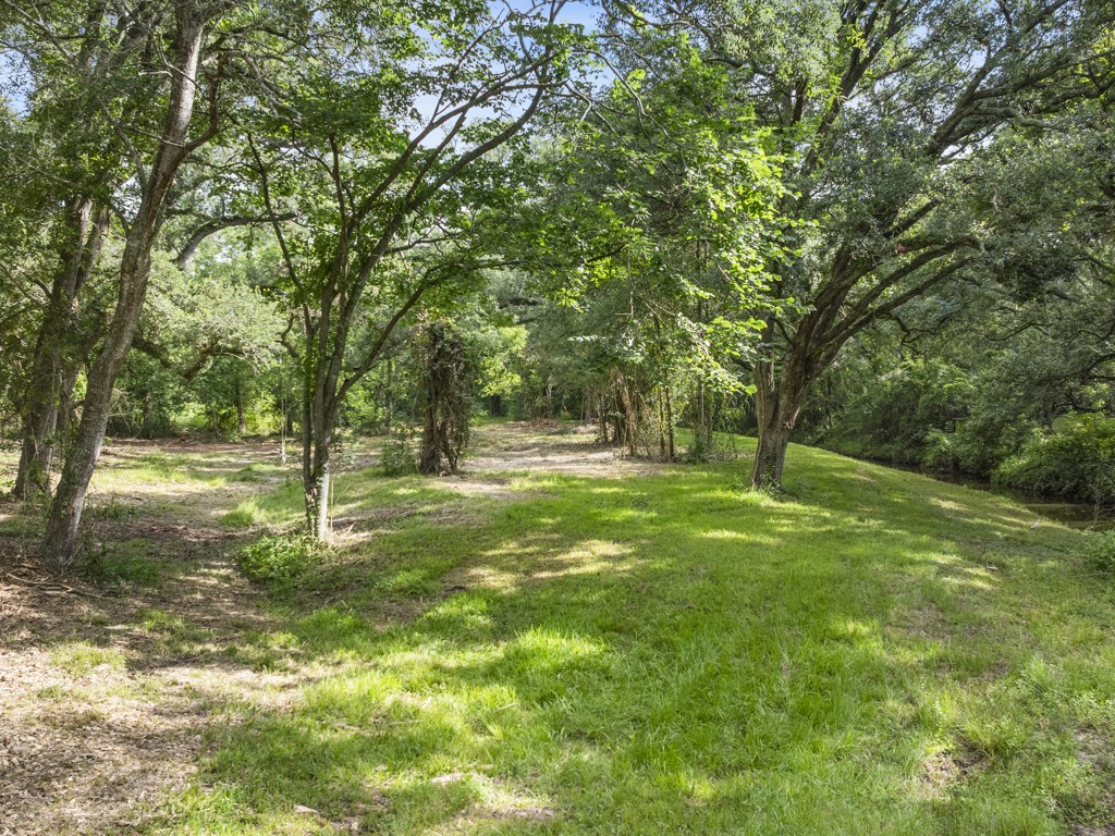5714 Masters Manvel, TX 77578 - Photo 8 of 43 a view of outdoor space with trees all around