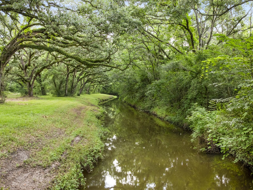 5714 Masters Manvel, TX 77578 - Photo 9 of 43 a view of a trees in a yard