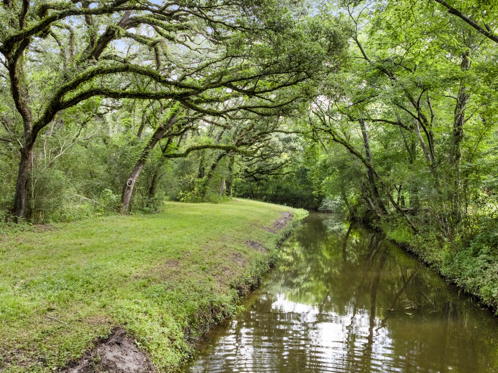 5714 Masters Manvel, TX 77578 - Photo 10 of 43 a view of outdoor space and yard