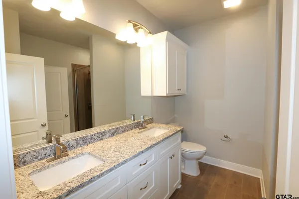 a bathroom with a shower and a toilet