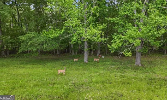 $11,500,000 | 14501 Woolsey Road, Hampton, GA 30228