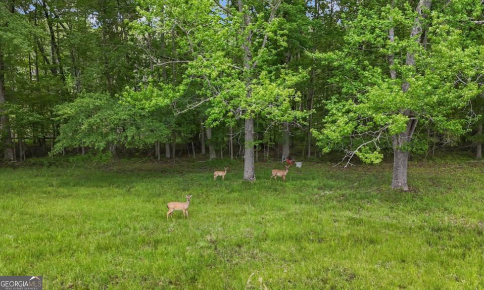 14501 Woolsey Road Hampton, GA 30228 - Photo 138 of 142 a backyard of a house with lots of green space
