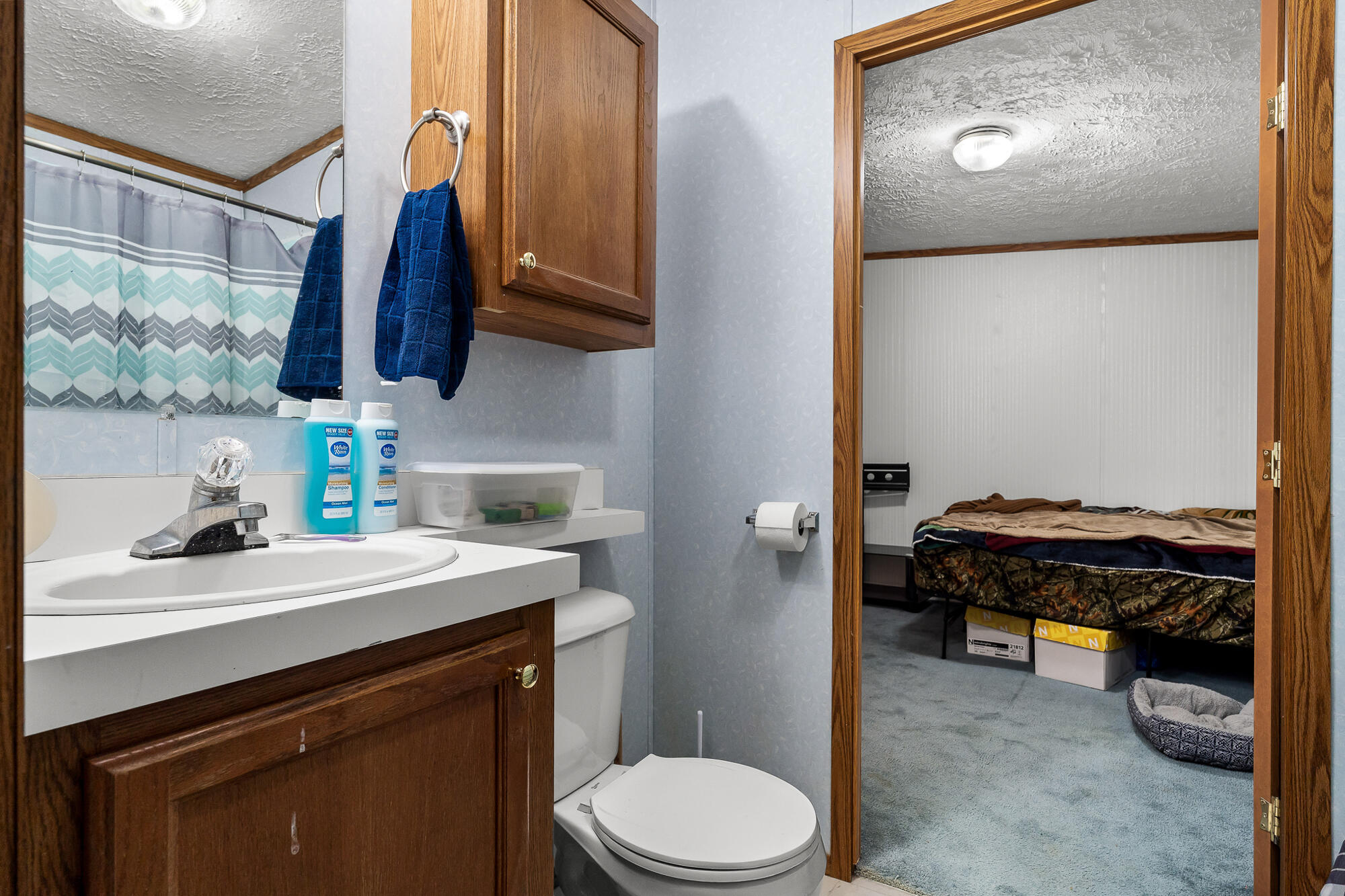 W10402 West Castle Mound Road Brockway, WI 54615 - Photo 22 of 35 Jack & Jill Bathroom
