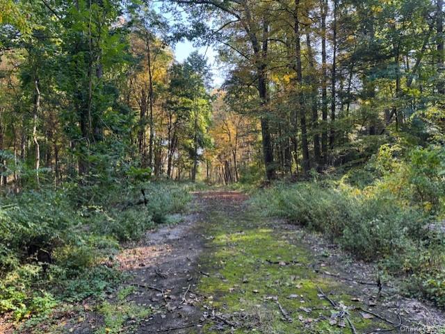 240 Boardman Road Poughkeepsie, NY 12603 - Photo 2 of 5 View of nature