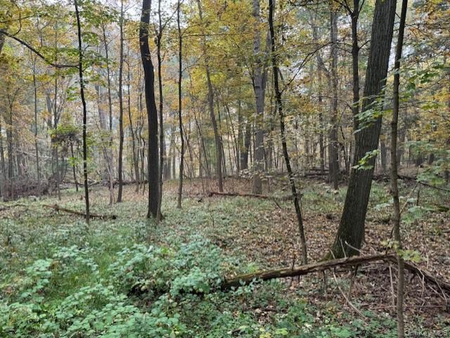 240 Boardman Road Poughkeepsie, NY 12603 - Photo 3 of 5 View of local wilderness