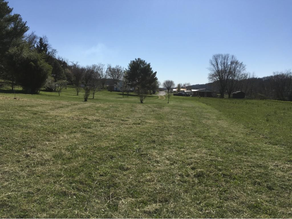 210 Powell Street Greeneville, TN 37745 - Photo 6 of 23 Photo 7
