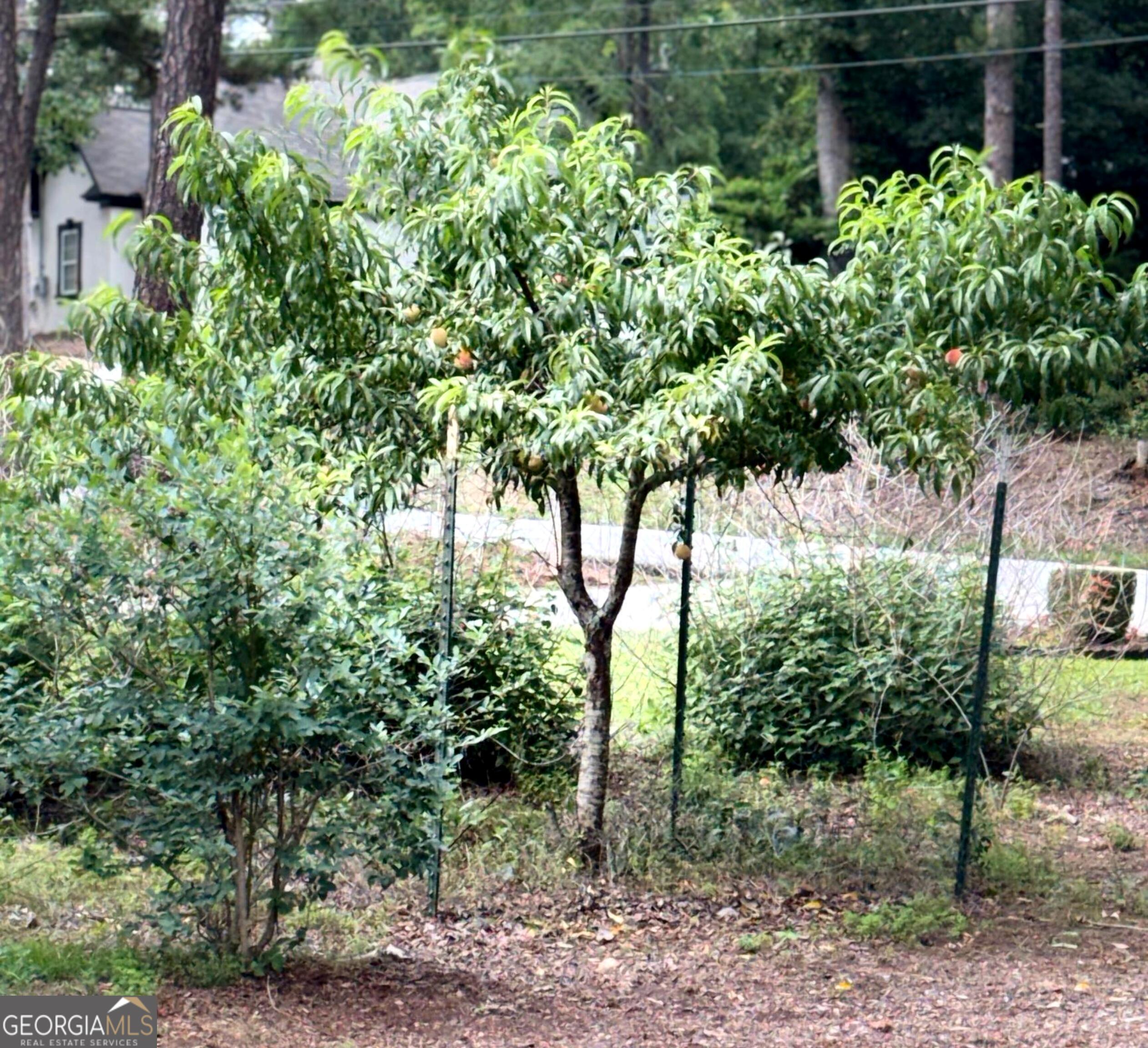 2904 Union Grove Road Conyers, GA 30012 - Photo 73 of 76
