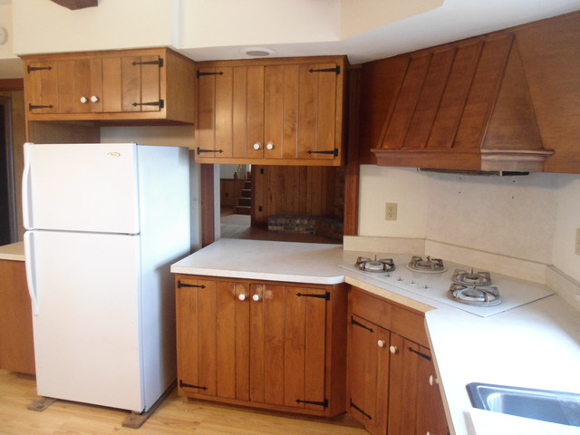 3N469 Town Hall Road Elburn, IL 60119 - Photo 9 of 13