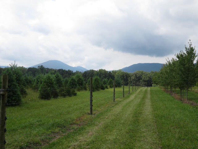 0 South Fort Valley Road Fort Valley, VA 22652 - Photo 4 of 8 Gallery Image 4