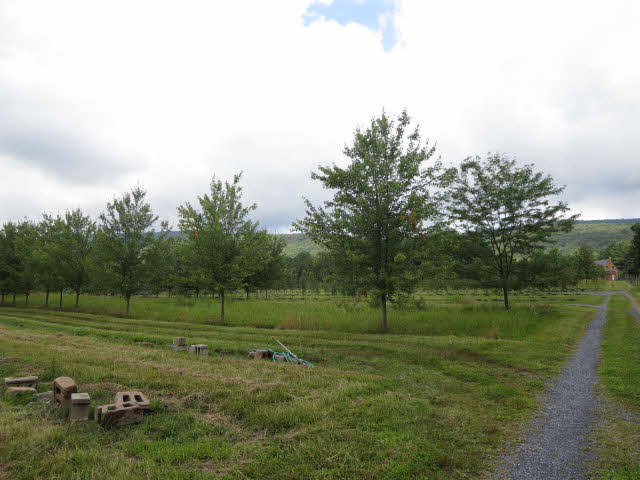 0 South Fort Valley Road Fort Valley, VA 22652 - Photo 6 of 8 Gallery Image 6