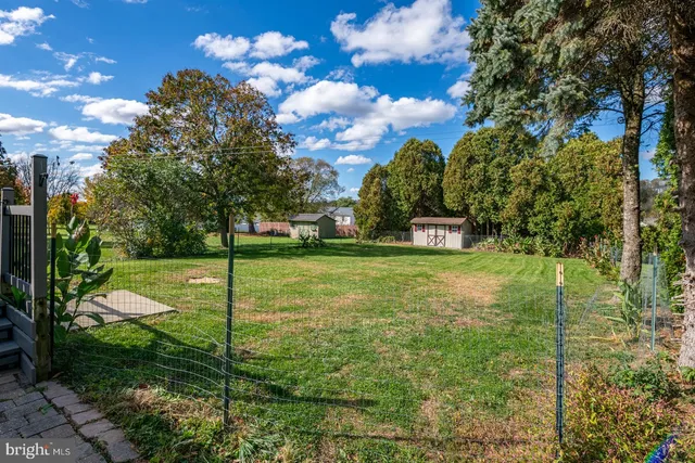 a view of a park with large trees