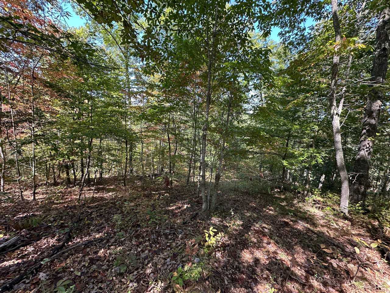 18 A Hall Road Grayson, KY 41143 - Photo 56 of 77 Gallery Image 56