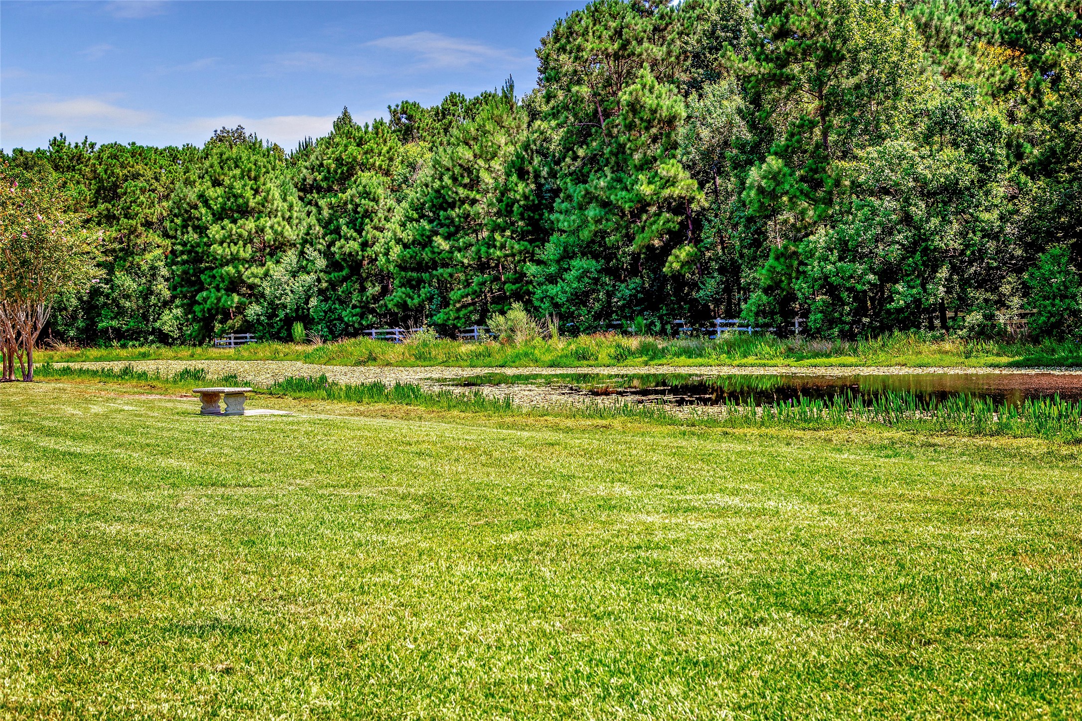 00 Hargraves Road Huffman, TX 77336 - Photo 15 of 28