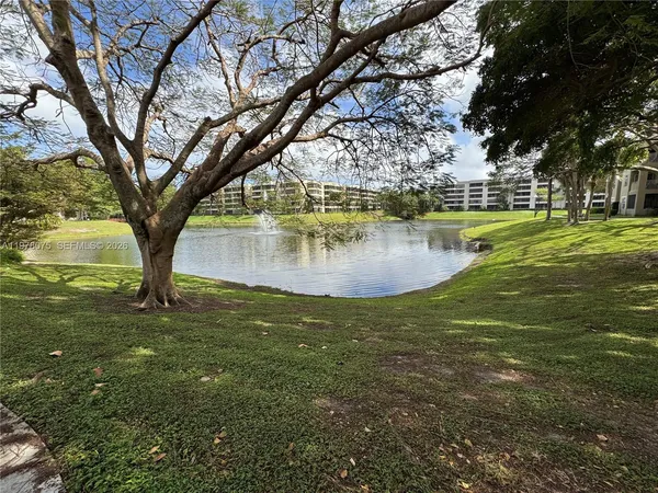 a view of a large trees with a big yard
