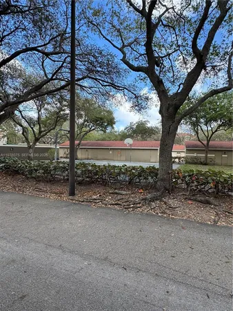 a view of a yard with a tree