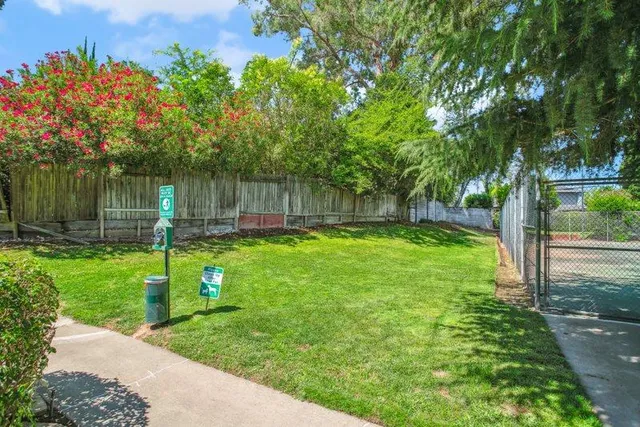 a view of a backyard with a slide