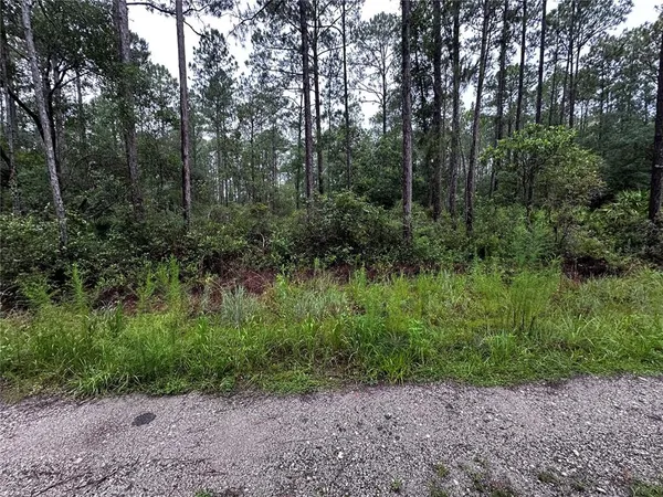 a view of outdoor space and trees