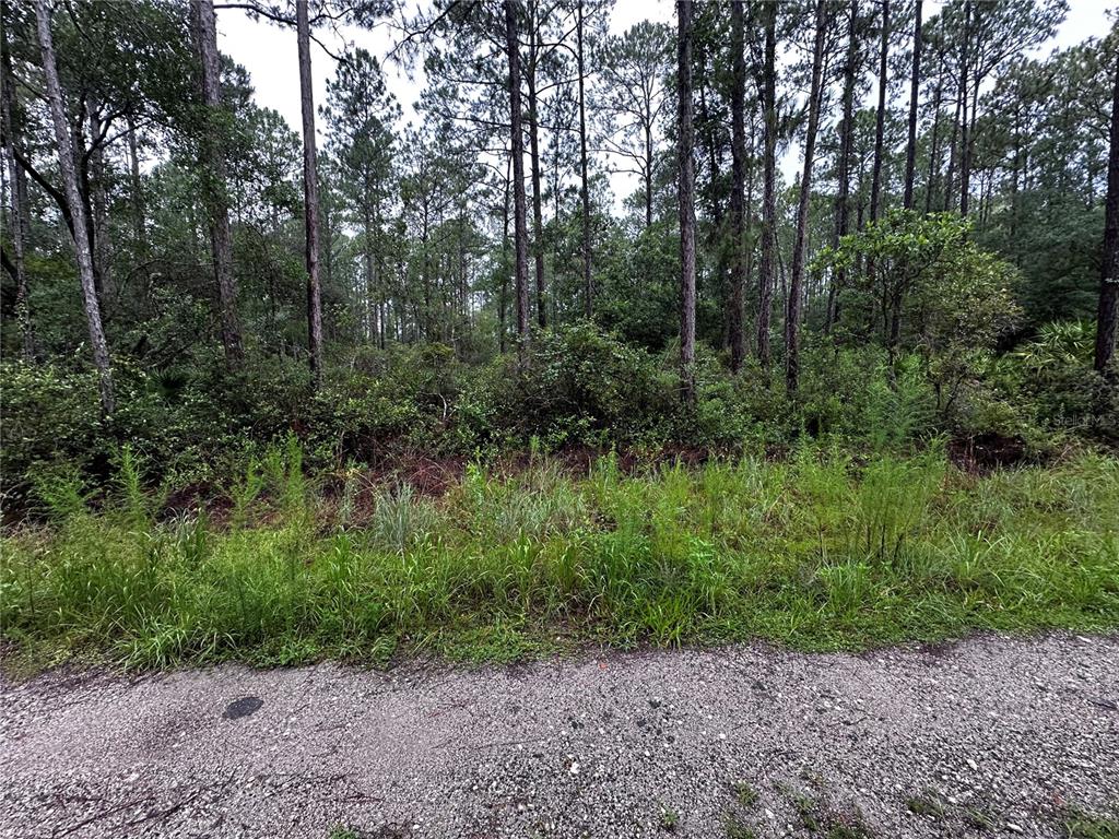 Northeast 66th Avenue Citra, FL 32113 - Photo 3 of 6