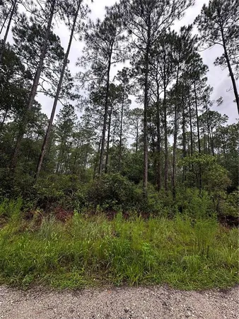 a view of a dirt road with trees in the background