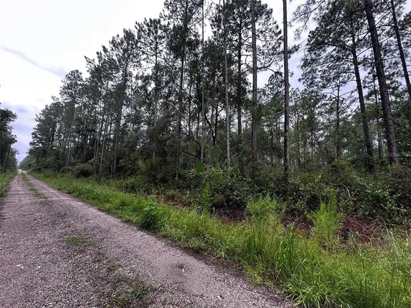 $21,999 | Northeast 66th Avenue, Citra, FL 32113